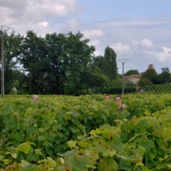 2008