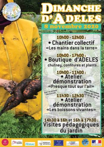 Affiche du "Dimanche d'ADELES" du 8 novembre 2020 au Jardin d'ADELES