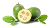 feijoa